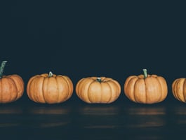 Pumpkins are lined up in a row against a dark background.